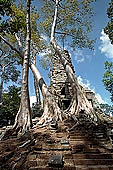 Angkor Thom - Prah Palilay temple surrounded by trees